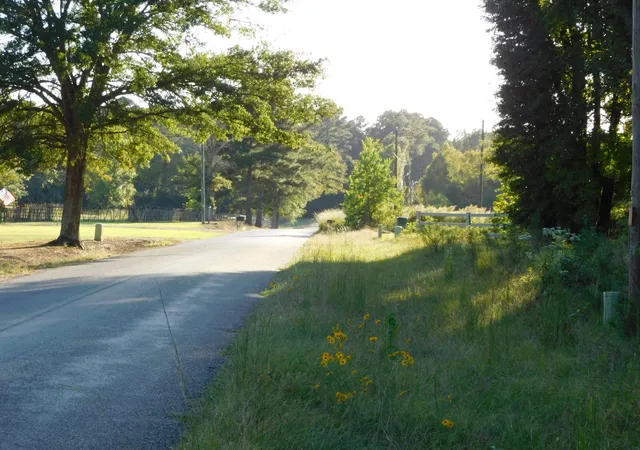 Photo 3 of Land for sale at 2600 Columbia 21 Rd, Taylor, AR 71861 | MLS# 21078919 | Listing updated on 2026-08-29