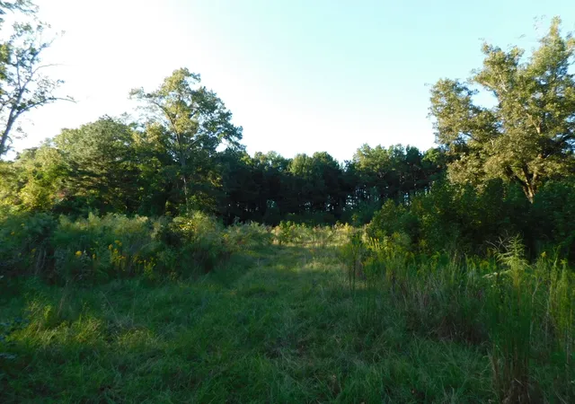 Photo 4 of Land for sale at 2600 Columbia 21 Rd, Taylor, AR 71861 | MLS# 21078919 | Listing updated on 2026-08-29