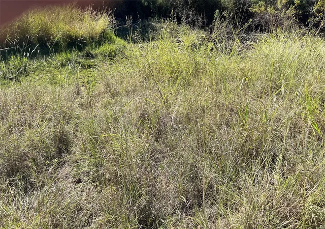 Photo 1 of Land for sale at 29 &30 Brook Valley Dr, May, TX 76857 | MLS# 21079474 | Listing updated on 2026-08-22