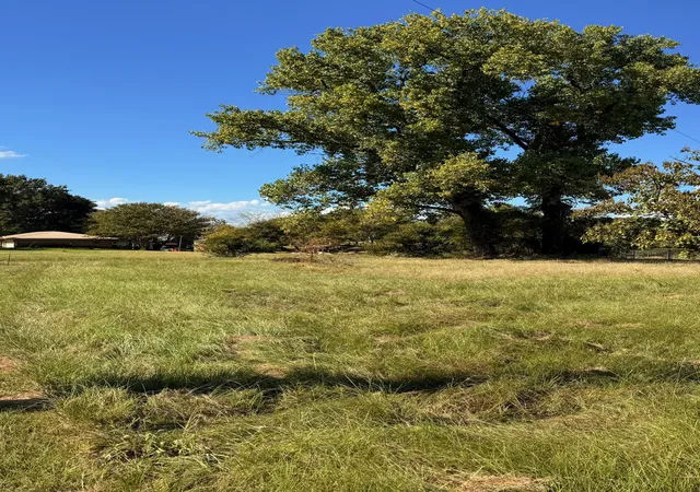 Photo 3 of Land for sale at Tbd Rocking Chair Ranch, Trinidad, TX 75163 | MLS# 21079840 | Listing updated on 2026-08-22
