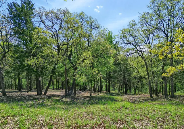 Homes for sale in Pottsboro, TX | 116 Oak Hills Dr, Pottsboro, TX 75076 | MLS# 21079943