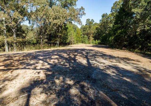 Photo 4 of Land for sale at 412 Rs County Road 1275, Emory, TX 75440 | MLS# 21080290 | Listing updated on 2026-10-06