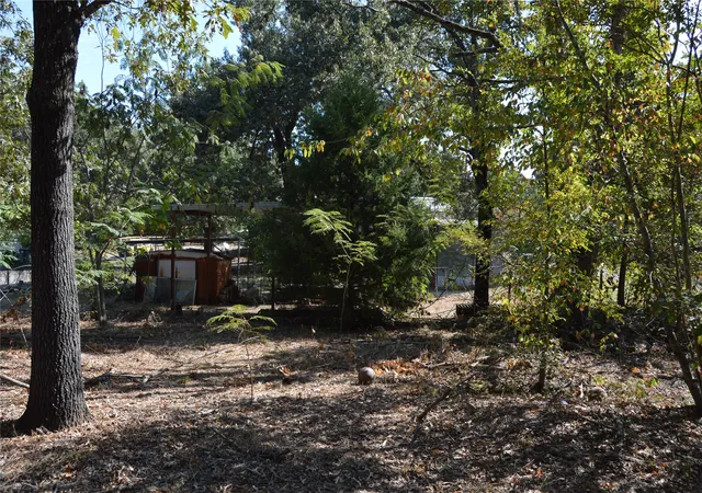 Homes for sale in Emory, TX | Tbd Private Road 7704 Road #7704, Emory, TX 75440 | MLS# 21081828