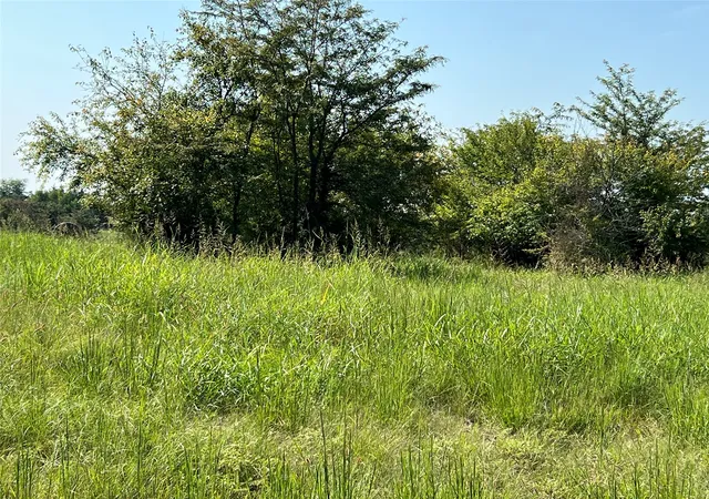 Homes for sale in Cooper, TX | Tbd County Road 4145, Cooper, TX 75432 | MLS# 21082063