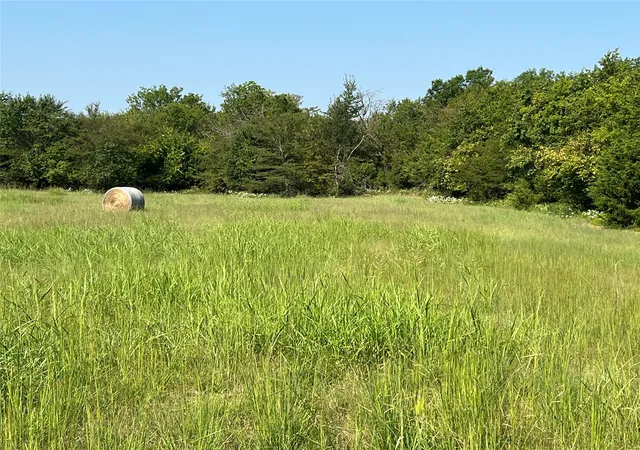 Homes for sale in Cooper, TX | Tbd County Road 4145, Cooper, TX 75432 | MLS# 21082063