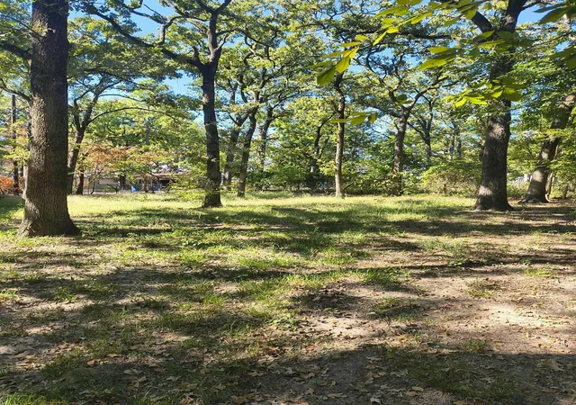 Photo 1 of Land for sale at 0 Tbd Harbor Dr, Gun Barrel City, TX 75156 | MLS# 21078880 | Listing updated on 2026-09-29