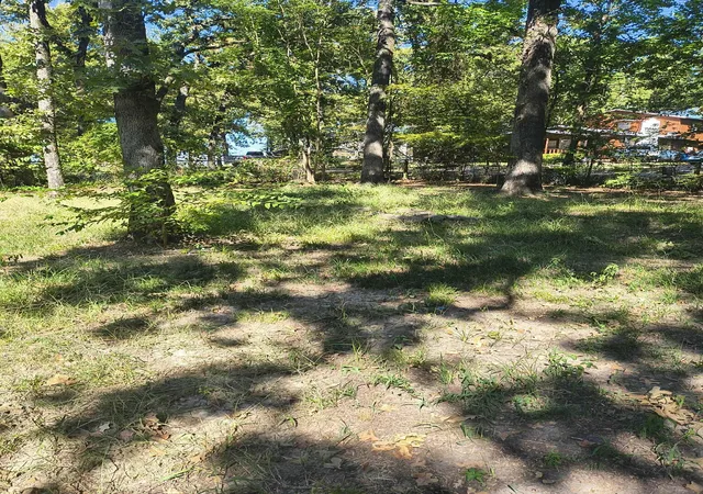 Photo 3 of Land for sale at 0 Tbd Harbor Dr, Gun Barrel City, TX 75156 | MLS# 21078880 | Listing updated on 2026-09-29