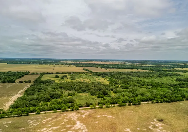 Photo 1 of Land for sale at Tbd 20 Acres County Road 159, Riesel, TX 76682 | MLS# 21082297 | Listing updated on 2026-08-22