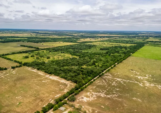 Photo 2 of Land for sale at Tbd 20 Acres County Road 159, Riesel, TX 76682 | MLS# 21082297 | Listing updated on 2026-08-22