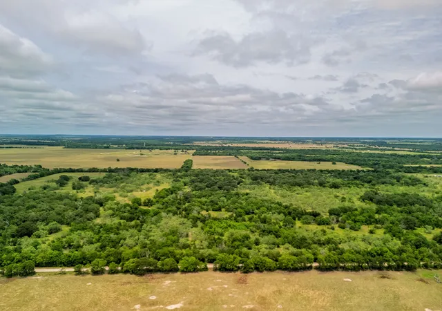 Photo 4 of Land for sale at Tbd 20 Acres County Road 159, Riesel, TX 76682 | MLS# 21082297 | Listing updated on 2026-08-22