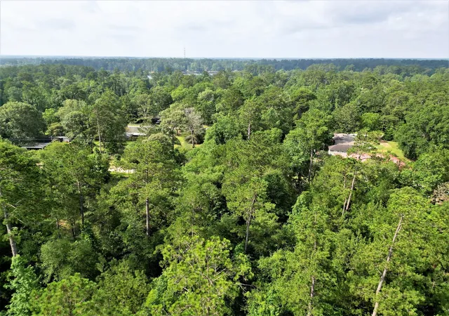 Homes for sale in Woodville, TX | Lot 8 Sir Ewaine Dr, Woodville, TX 75979 | MLS# 21082474