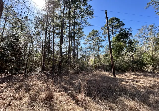 Homes for sale in Woodville, TX | Lot 8 Sir Ewaine Dr, Woodville, TX 75979 | MLS# 21082474