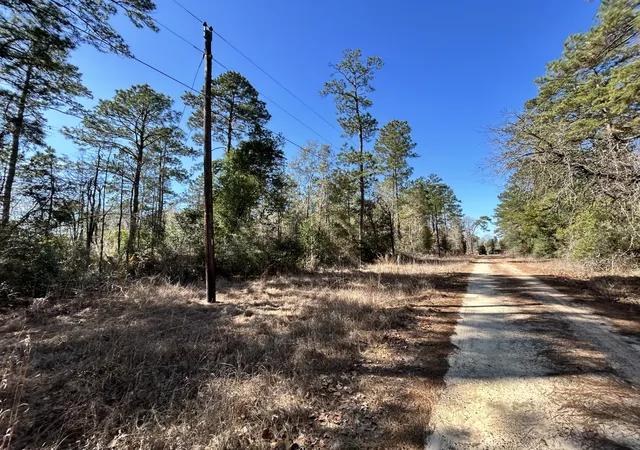 Homes for sale in Woodville, TX | Lot 8 Sir Ewaine Dr, Woodville, TX 75979 | MLS# 21082474