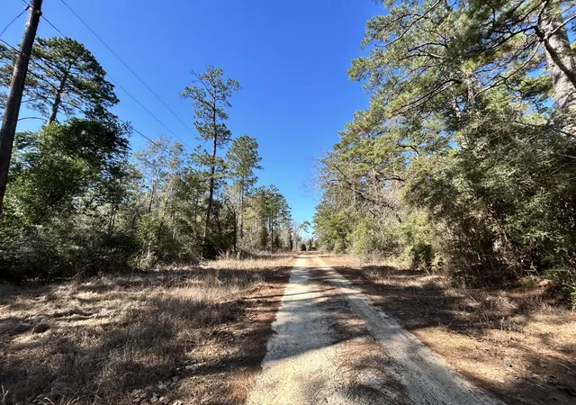 Homes for sale in Woodville, TX | Lot 8 Sir Ewaine Dr, Woodville, TX 75979 | MLS# 21082474