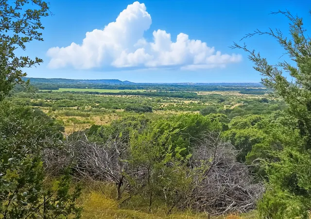 Photo 1 of Land for sale at Tdb 482 Acres W Fm 217, Jonesboro, TX 76538 | MLS# 21085584 | Listing updated on 2026-10-01