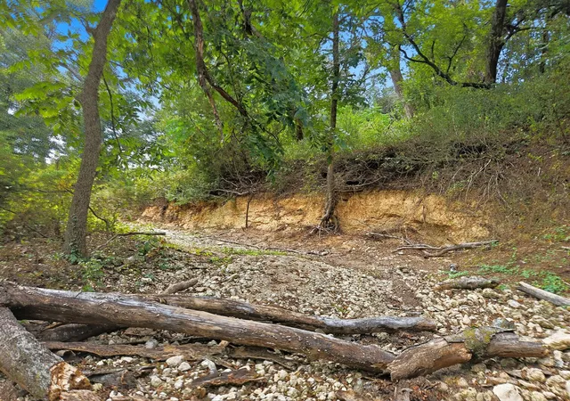Photo 3 of House for sale at Tdb 482 Acres W Fm 217, Jonesboro, TX 76538 | MLS# 21085584 | Listing updated on 2026-10-01
