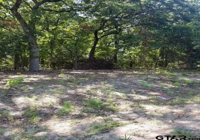 Photo 1 of Land for sale at N/a Birch Dr, Murchison, TX 75778 | MLS# 21084266 | Listing updated on 2026-10-05
