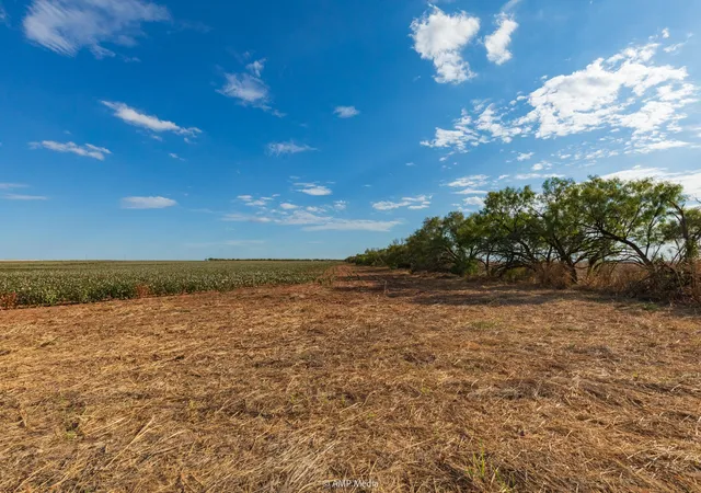 Homes for sale in Merkel, TX | 000 Cr 432, Merkel, TX 79536 | MLS# 21088497