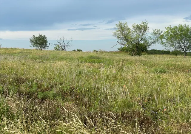 4th image of 4045 Mirielle Dr, Aledo, TX 76008 | MLS# 21089033