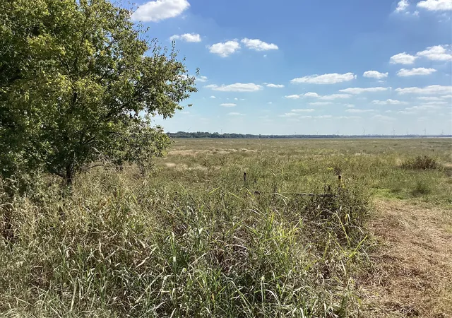 Homes for sale in Dawson, TX | Tbd Sw Cr 3160, Dawson, TX 76639 | MLS# 21087580