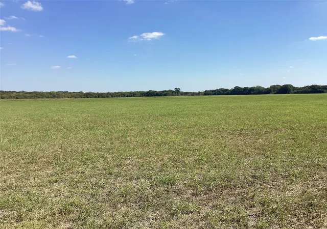 Homes for sale in Dawson, TX | Tbd Sw Cr 3160, Dawson, TX 76639 | MLS# 21087580