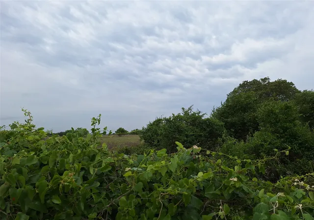 Photo 2 of Land for sale at 2735 Fm 45, Richland Springs, TX 76871 | MLS# 21089847 | Listing updated on 2026-07-24