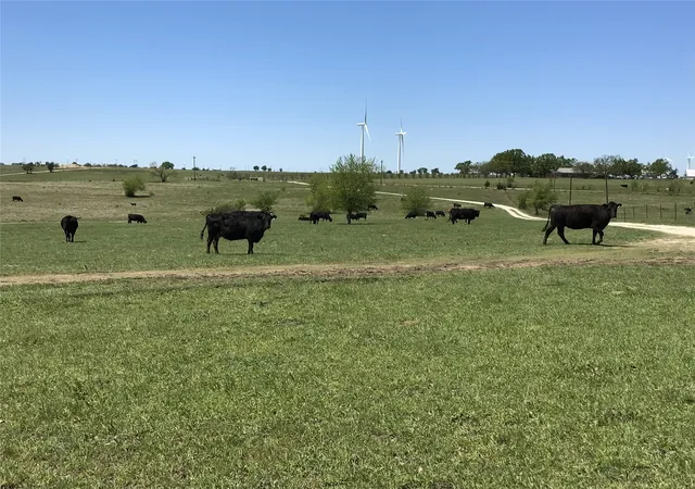 Homes for sale in Muenster, TX | 1332 County Road 423, Muenster, TX 76252 | MLS# 21082140