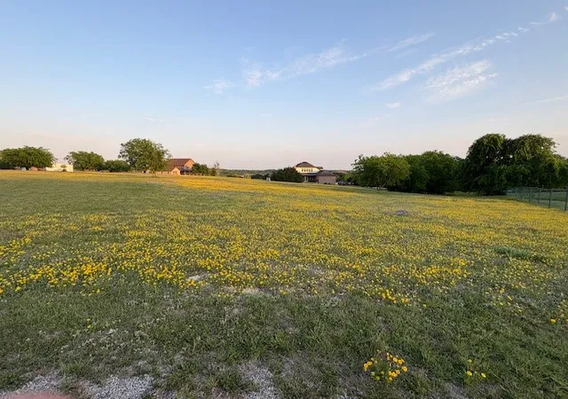 Homes for sale in Cresson, TX | 217 Pebble Ridge Ct, Cresson, TX 76035 | MLS# 21090728