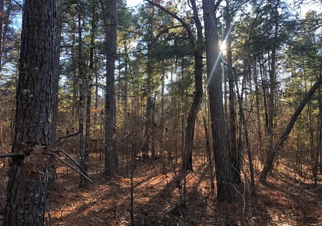 Photo 1 of Land for sale at 0 Hwy 160, Plain Dealing, LA 71064 | MLS# 21090372 | Listing updated on 2026-09-25