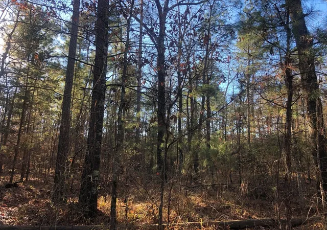 Photo 3 of Land for sale at 0 Hwy 160, Plain Dealing, LA 71064 | MLS# 21090372 | Listing updated on 2026-09-25