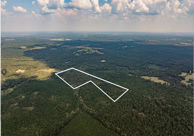 Land for sale at Tbd County Road 1582, Avinger, TX 75630 | MLS# 21090975