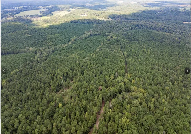 Photo 3 of Land for sale at Tbd County Road 1582, Avinger, TX 75630 | MLS# 21090975 | Listing updated on 2026-08-23