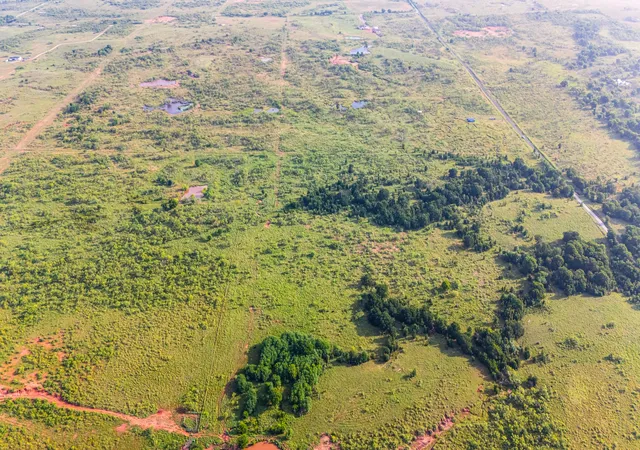 Photo 3 of Land for sale at Tbd Tract 6 50 Acres Boren Rd, Ringgold, TX 76261 | MLS# 21091527 | Listing updated on 2026-09-15