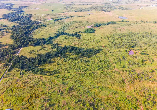 Photo 3 of Land for sale at Tbd Tract 6 50 Acres Boren Rd, Ringgold, TX 76261 | MLS# 21091527 | Listing updated on 2026-09-15