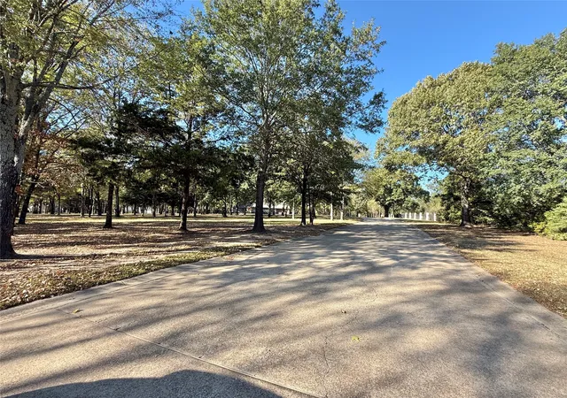 Photo 3 of Land for sale at 0000 Private Road 5943, Yantis, TX 75497 | MLS# 21092445 | Listing updated on 2026-09-15