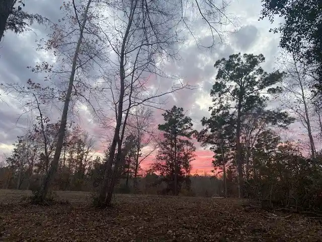 Photo 1 of Land for sale at 536 An County Road 1233, Palestine, TX 75801 | MLS# 21086126 | Listing updated on 2026-04-26