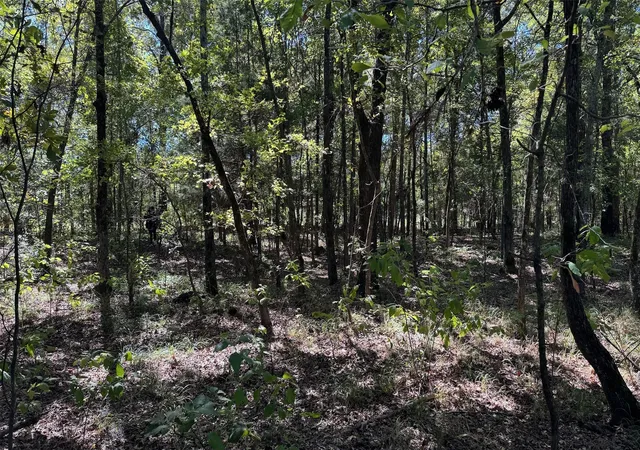 Homes for sale in Bagwell, TX | 75 County Road 2115, Bagwell, TX 75412 | MLS# 21093926
