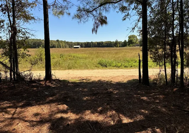 Homes for sale in Bagwell, TX | 75 County Road 2115, Bagwell, TX 75412 | MLS# 21093926