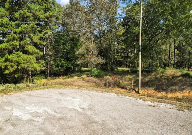 Photo 3 of Land for sale at Tbd Private Rd, Big Sandy, TX 75755 | MLS# 21093361 | Listing updated on 2026-07-13