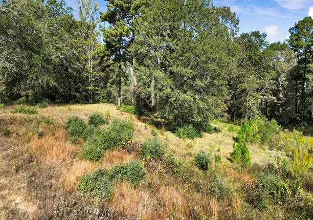 Photo 3 of Land for sale at Tbd Private Rd, Big Sandy, TX 75755 | MLS# 21093361 | Listing updated on 2026-07-13