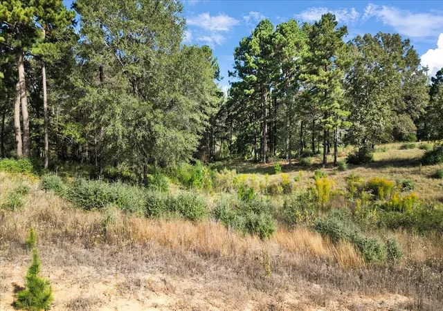 Photo 4 of Land for sale at Tbd Private Rd, Big Sandy, TX 75755 | MLS# 21093361 | Listing updated on 2026-07-13
