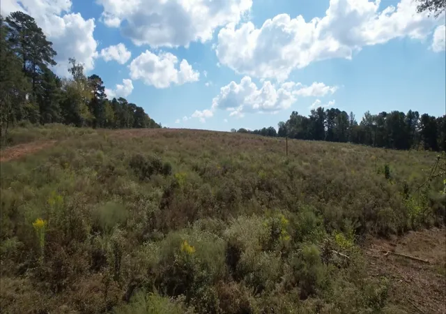 Homes for sale in Laneville, TX | Tbd-C County Road 4172D, Laneville, TX 75667 | MLS# 21095891