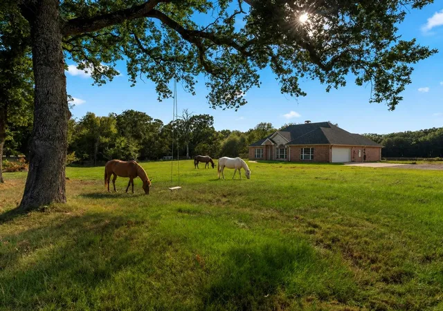 Photo 2 of Single family home for sale at 14856 Fm 59, Athens, TX 75751 | MLS# 21091958 | Listing updated on 2026-08-24
