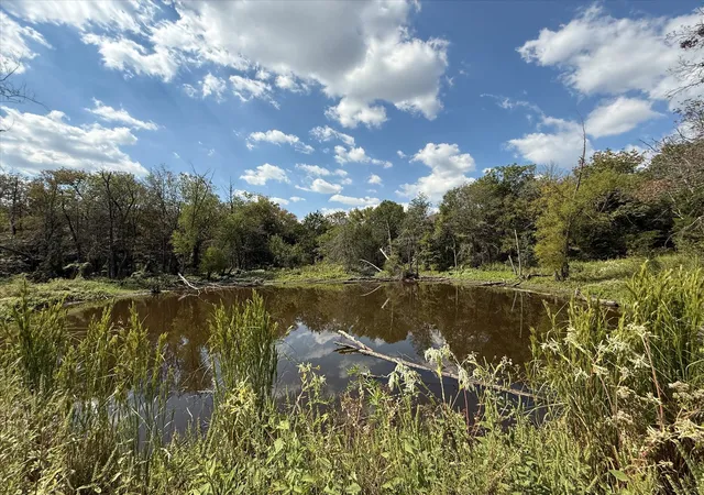 Land for sale at 16043 Cr 344, Terrell, TX 75161 | MLS# 21091545
