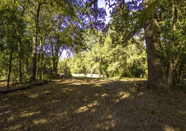 Photo 32 of Land for sale at Tbd Interstate 45, Fairfield, TX 75840 | MLS# 21096293 | Listing updated on 2026-07-17