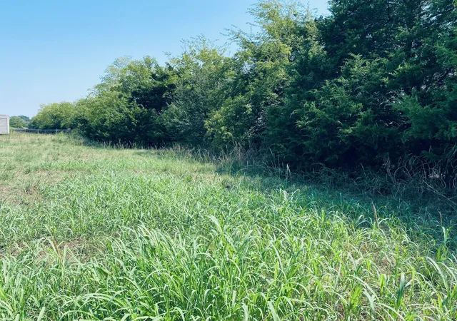 Homes for sale in Point, TX | 236 County Road 1450 Road, Point, TX 75472 | MLS# 21096852