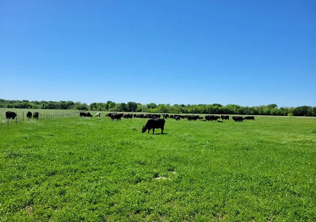 Photo 3 of Land for sale at 1567 Fm 1567, Lone Oak, TX 75453 | MLS# 21096884 | Listing updated on 2026-08-22