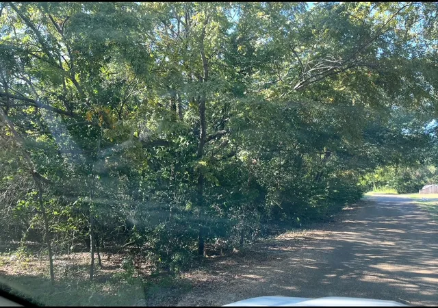 Photo 3 of Land for sale at 0 Bounding Main St, Gun Barrel City, TX 75156 | MLS# 21097687 | Listing updated on 2026-07-28