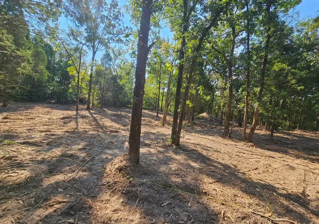Photo 3 of Land for sale at 0 Pennsylvania St, Malakoff, TX 75148 | MLS# 21094498 | Listing updated on 2026-08-29