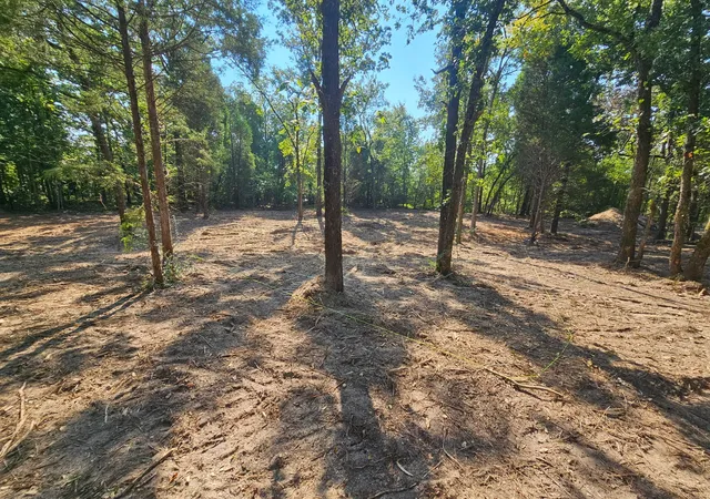 Photo 4 of Land for sale at 0 Pennsylvania St, Malakoff, TX 75148 | MLS# 21094498 | Listing updated on 2026-08-29